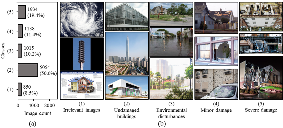 damage identification